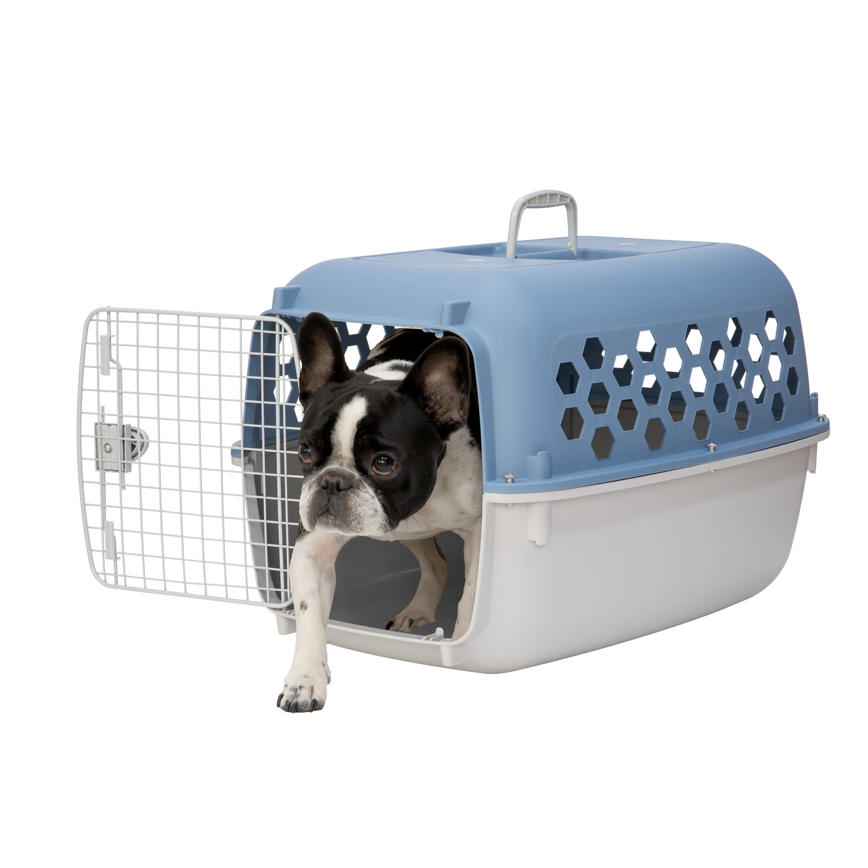 Vibrant Life 26" Plastic Portable Kennel for Dogs, Blue
