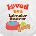 thumbnail image 4 of Inktastic Labrador Retriever Loved by a Boys or Girls Baby Bib, 4 of 4