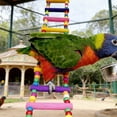 thumbnail image 4 of BotaniNest Bird Ladder For Lovebirds Parrots With Wooden Beads And Climbing Activity Play Gym, 4 of 4