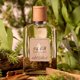 thumbnail image 5 of Perfume RALPH LAUREN FRAGRANCES Polo Earth Eau de Parfum 40 ml, 5 of 6