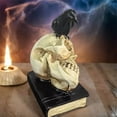 thumbnail image 5 of Mauxuk Halloween Skull Book Decor - Resin Gothic Home Decor, Vintage Shelf Display, 4.72x2.75x2.36in, 0.6lb, 5 of 6