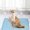 Light Blue, variant on Dmlowu Washable Dog Bed for Crate, Portable Lightweight Dog Bed for Small Medium Size Dogs Cats, Summer Cooling Mat for Car Seat Floor Sofa