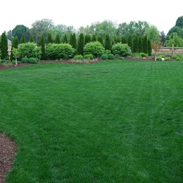 2x Biodegradable Grass Mat Seed Starter Blanket Gardening Lawn Backyard 7ft 