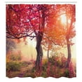 thumbnail image 3 of Ambesonne Nature Shower Curtain, Flowers in Park Fall, 69"Wx75"L, Red Brown, 3 of 5