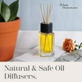 thumbnail image 3 of Whole Housewares Diffuser Bottles Natural Reed Sticks Diffuser Bottles | 1, 3 of 7