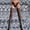 Gray, variant on Sparkly Tights for Women Glitter Tights Ultra Sheer Pantyhose Sparkly Stockings Sheer Stockings for Women Glitter Stockings for Women Panty Hose Socks for Women Red One Size