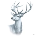 thumbnail image 2 of Fay, Mela 26x26 Black Ornate Wood Framed with Double Matting Museum Art Print Titled - Rack I, 2 of 4