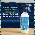 thumbnail image 4 of Pet Life Unlimited Pet Stain & Odor Remover Foaming, Juniper Leaf, 16 fl oz, 4 of 13