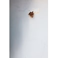 thumbnail image 2 of 1x Studio III 13x18 White Modern Wood Framed Museum Art Print Titled - Hole in the wall, 2 of 4