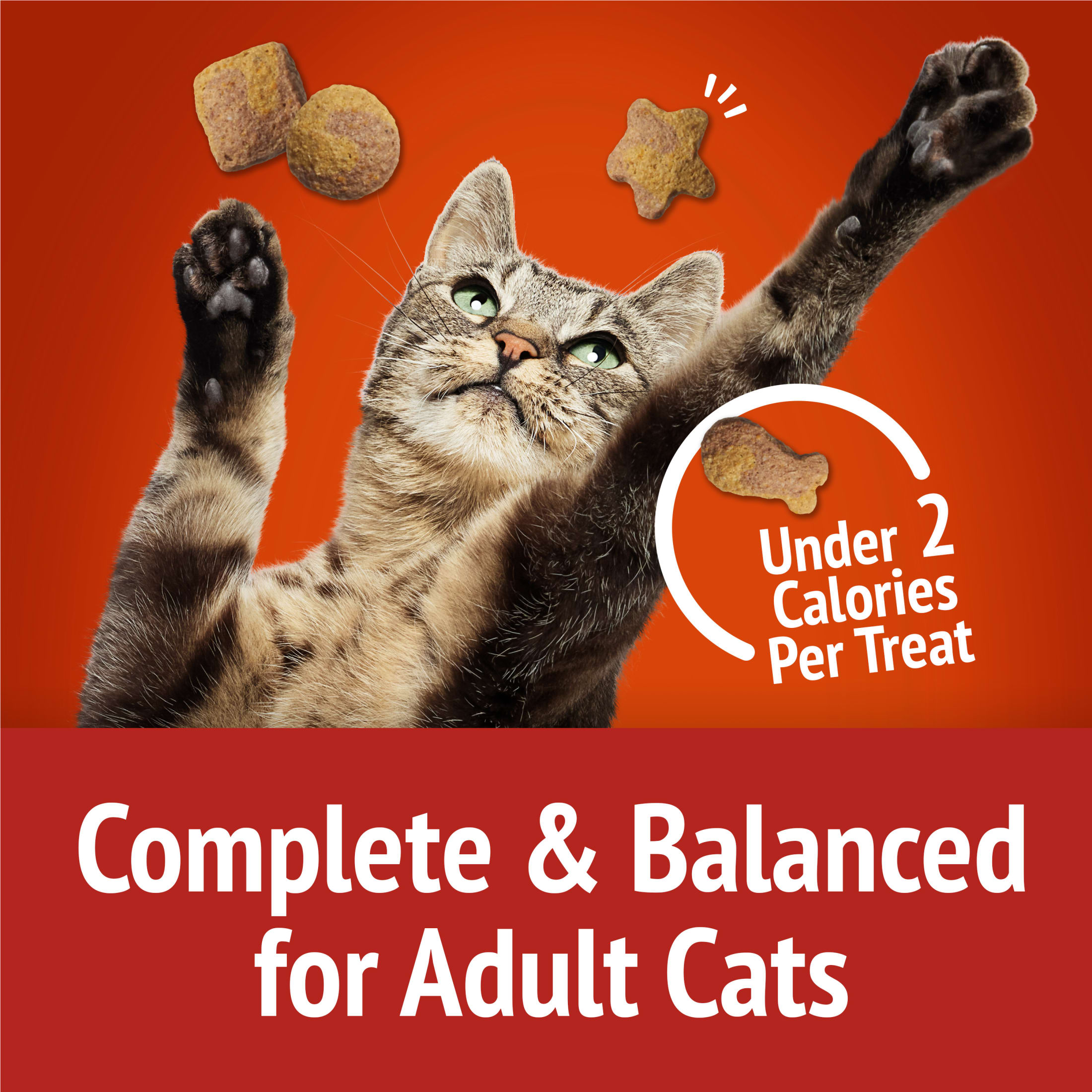 Friskies Party Mix Gravy-Licious Crunch Cat Treats photo 7