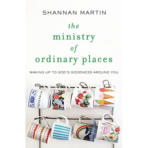 Pre-Owned The Ministry of Ordinary Places: Waking Up to God's Goodness Around You, 9780718077488, 0718077482, Paperback,