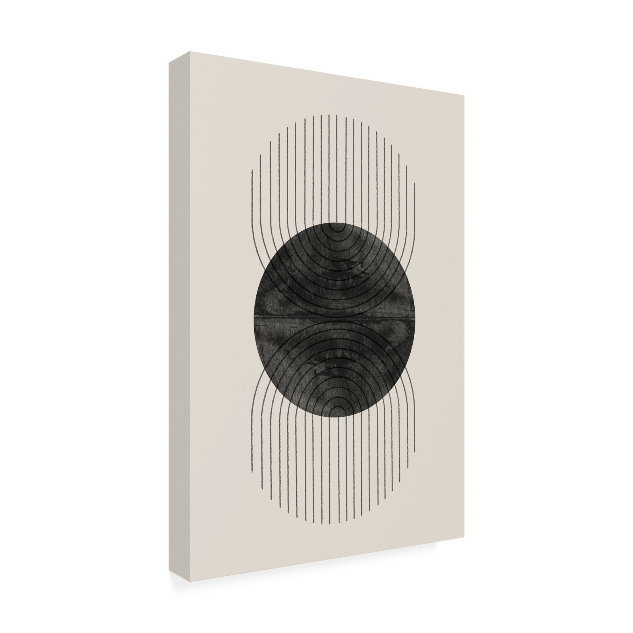 Trademark Fine Art THE MIUUS STUDIO Perfect Point Black Canvas Wall Art