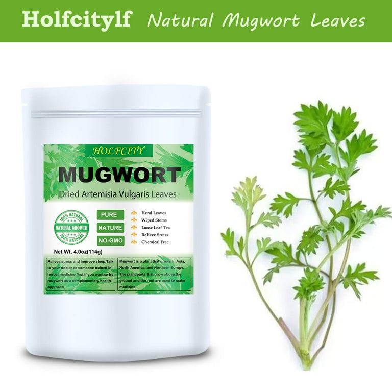 Dried Mugwort Leaves, 4oz(114g), Natural Artemisia Vu aris