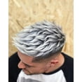 thumbnail image 5 of Placenta Life Silver Blueberry Conditioner for Gray & Bleached Hair. No more yellowish tones. Gray color protection. 350 ml /11.83 fl.oz., 5 of 5