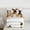 Black Wheat White, variant on Homewish Kawaii Sloth 3 Pieces Queen Comforter Set for Children Teens,Geometric Plaid Grid Ultra Soft Bedding Sets,Cartoon Animal Bedding Comforter Set,Lightweight Room Decor,Reversible