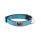 thumbnail image 1 of RC Pets - Collar de Clip Ajustable para Perro, 1 Pulgada, tamaño Mediano, Cachemira Tropical, 1 of 4