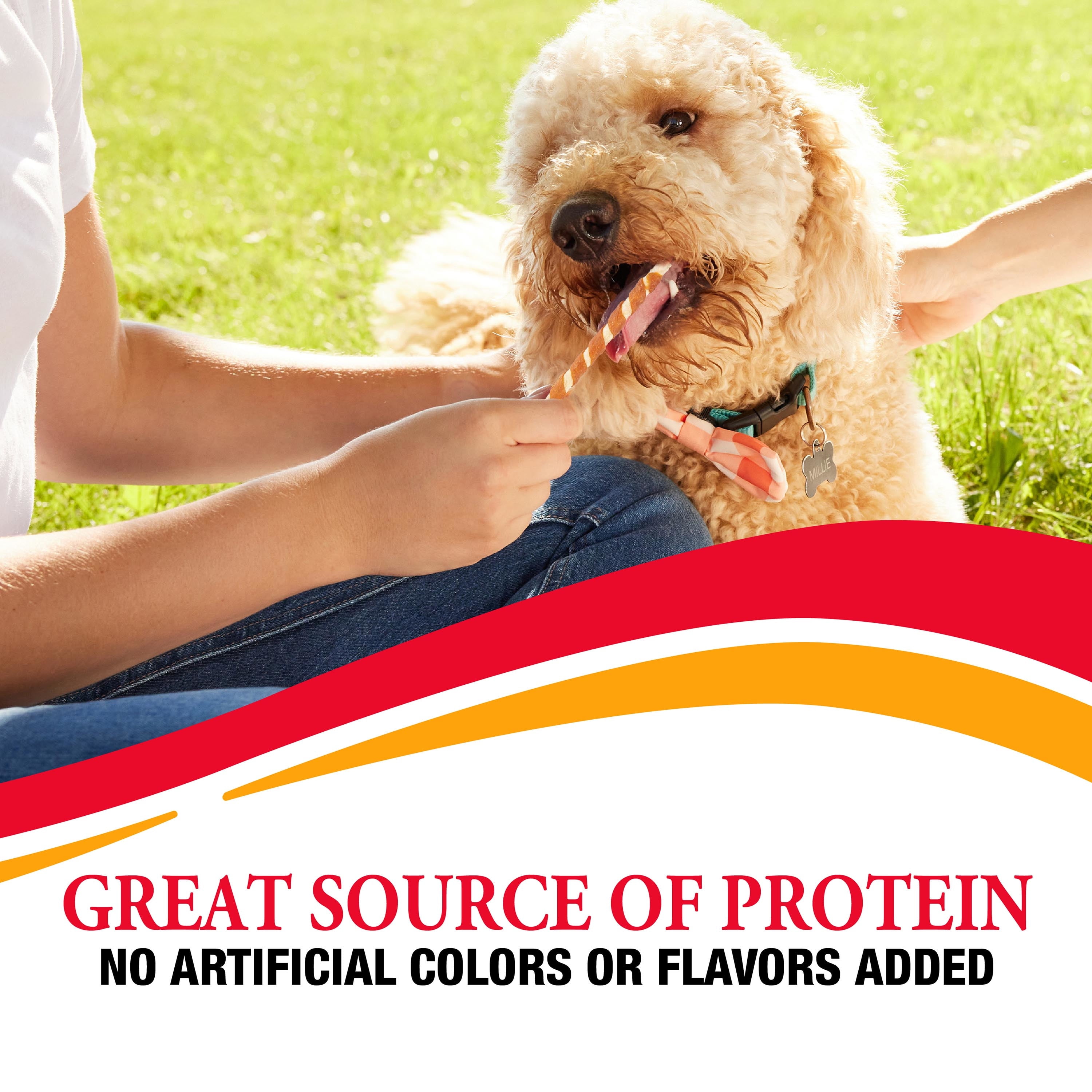 Good ‘n’ Fun Triple Flavor Munchy Sticks Chews for Dogs, With Beef, Chicken and Pork, 40 Count