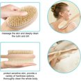 thumbnail image 2 of Body brush for wet or dry brushing with long wooden handle, 2 of 5
