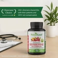 thumbnail image 3 of Forest Leaf Berberine Supplement 1300mg, Ultra High Potency Berberine HCl with Ceylon Cinnamon, 90 Capsules, 3 of 9