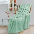 thumbnail image 3 of PAVILIA Soft Fleece Light Green Throw Blanket for Couch, Lightweight Plush Warm Blankets for Bed, Fuzzy Cozy Flannel Blanket Throw for Sofa, Travel, Jacquard Pattern, Mint Green, Twin, 60x80 inch, 3 of 8