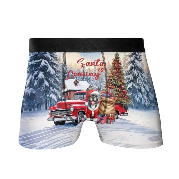 Santa is Coming French Bulldog Merry Christmas Xmas Noel Truck Tree All Over Print Boxer Briefs Underwear for Men Dad Dog Lover Gifts - 02023