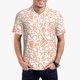 thumbnail image 1 of Balery Simple Fruit Camisa Polo de Hombre con Estampado, de Manga Corta y Tejido Medio, Camisa Tipo Golf Polo-Small, 1 of 6