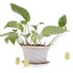thumbnail image 4 of 100 Uds. De etiquetas para plántulas DIY, etiquetas creativas para plantas y flores, herramientas de jardín (amarillo), 4 of 6