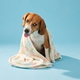 thumbnail image 2 of Vibrant Life Pet Throw, Multicolor Paws, 36" x 27", 2 of 8