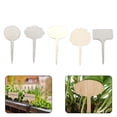 thumbnail image 3 of 10pcs Herbs Tools Bamboo Plant Labels Garden Markers Wood Sign Tags, 3 of 7