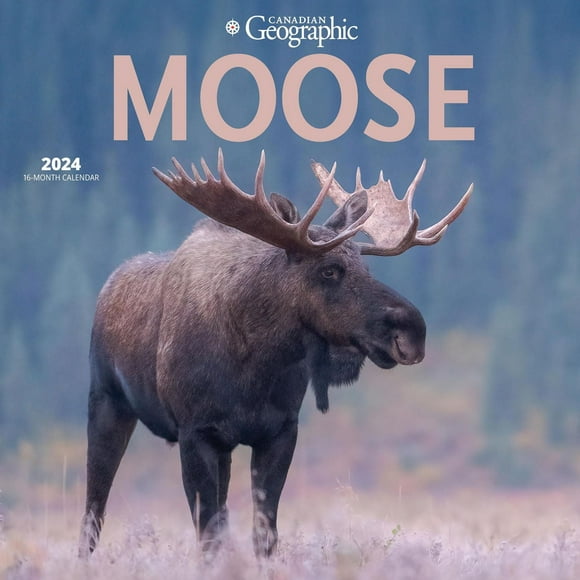 Wyman Publishing Élans par Canadian Geographic 2024 30.48x60.96 CM Mur Carré Calendrier, 9781525611711