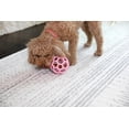 thumbnail image 2 of Juguete de Rompecabezas JW Pet Hule Natural Rosa Mediano para Perro, 2 of 4