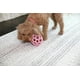 thumbnail image 2 of Juguete de Rompecabezas JW Pet Hule Natural Rosa Mediano para Perro, 2 of 4