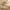 Brown, variant on Arogan Modern Abstract Washable Rug for Living Room, Bedroom, Dining Room, Children's Playroom, Green, 5' x 7'