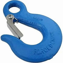 National Hardware 5/16 in. Eye Slip Hook with Latch, Forged Steel Blue, Grade 43