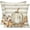 White, variant on Fall Pillow Covers 18x18 inch Set of 2 White Pumpkin Fallen Leaves Decorative striped Throw Pillow Covers Autumn Thanksgiving Farmhouse Decoration for Home couch 27