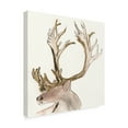 thumbnail image 2 of Trademark Fine Art 'Gilded Caribou II' Canvas Art by Chris Paschke, 2 of 3