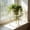 🔥 White_Hot#348, variant on Indoor Metal Plant Stand for Large Pots, Nordic Wrought Iron Flower Rack, Vintage Carved Floor Stool for Living Room or Balcony
