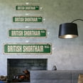 thumbnail image 2 of BRITISH SHORTHAIR Vintage Plastic Street Sign cat breed feline kitty kitten | Indoor/Outdoor |  30" Wide, 2 of 4