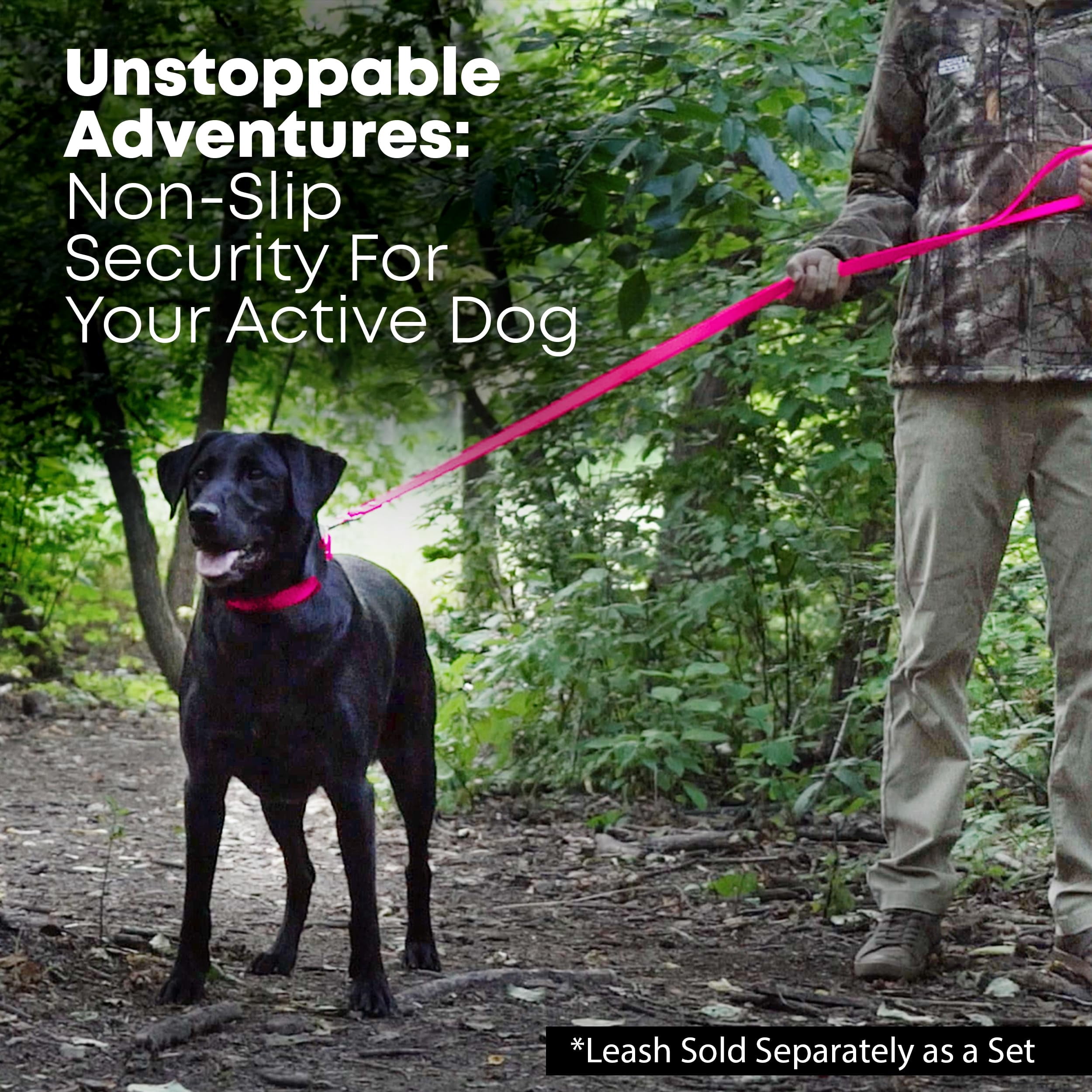 Regal Dog Products Waterproof Collar & 5ft Leash Set Heavy Duty Biothane