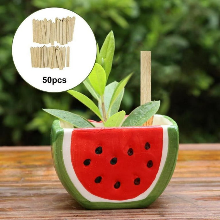 OwnGrown Wooden Plant Markers: 60 Plant Name Tags & Marker Pen, Wooden Sign  - Food 4 Less