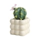 thumbnail image 2 of Faux Cactus Greenery in Ceramic Pot for Home Office Desk Decor 1-Piece, 2 of 6