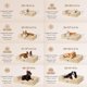 thumbnail image 2 of Cama ortopédica para perros EHEYCIGA, espuma viscoelástica, impermeable, grande, 2 of 9