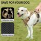 thumbnail image 4 of Arnés para perros HEELE sin tirones, ajustable y reflectante para perros, 4 of 6