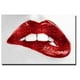 Luscious Rouge par Sarah McGuire Premium Giclée Toile Giclee Art - 16 x 24 x 1,5 Po. – image 1 sur 1