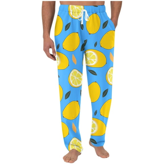 Stamzod Summer Pants for Men Fashion Fruit Pritning Elastic Waist Baggy Pants Casual Loose Plus Size Straight Trousers for Men with Pockets Light Blue XXL