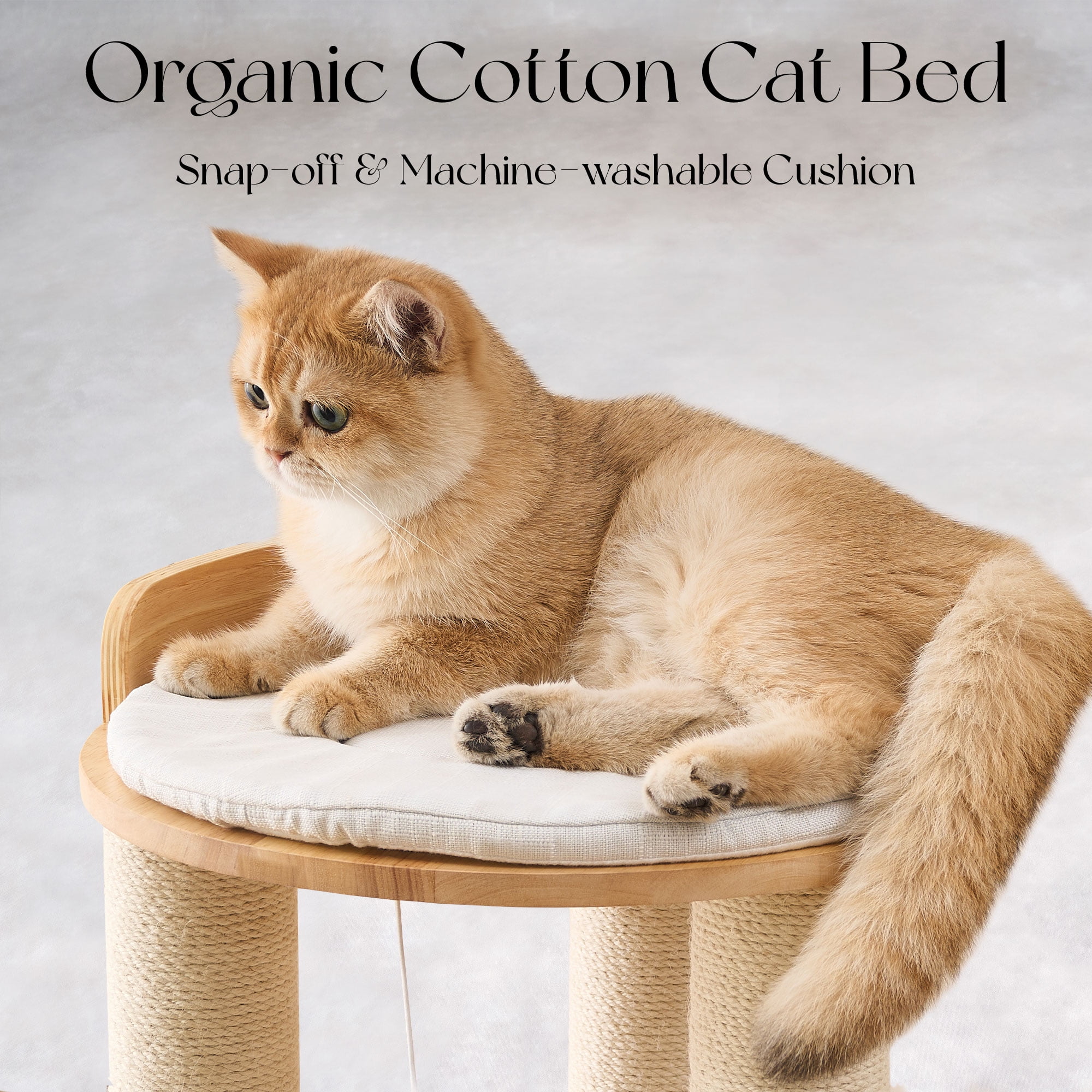 Modern Solid Wood Cat Tree Tower, 54" Tall Cat Tree with Sisal Scratching Posts, Capsule&Hammock, Luxury Natural Oak Wooden Cat Tower, Aesthetic Multi-Level Cat Climbing Tree for Large Indoor Cats
