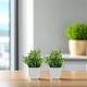 thumbnail image 4 of WEUVEB 2Ud Plantas Decorativas Artificiales Para Interiores Con Maceta Resistente Y Realismo Natural, 4 of 8