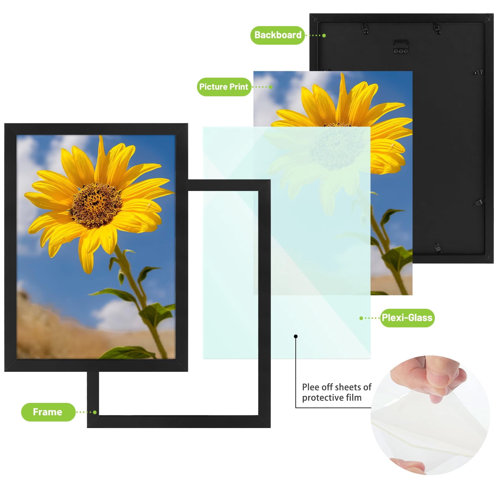 Golden State Art A3 11.7 x 16.5 Inch Poster Picture Frames Wall Display, Black, 2 Pack