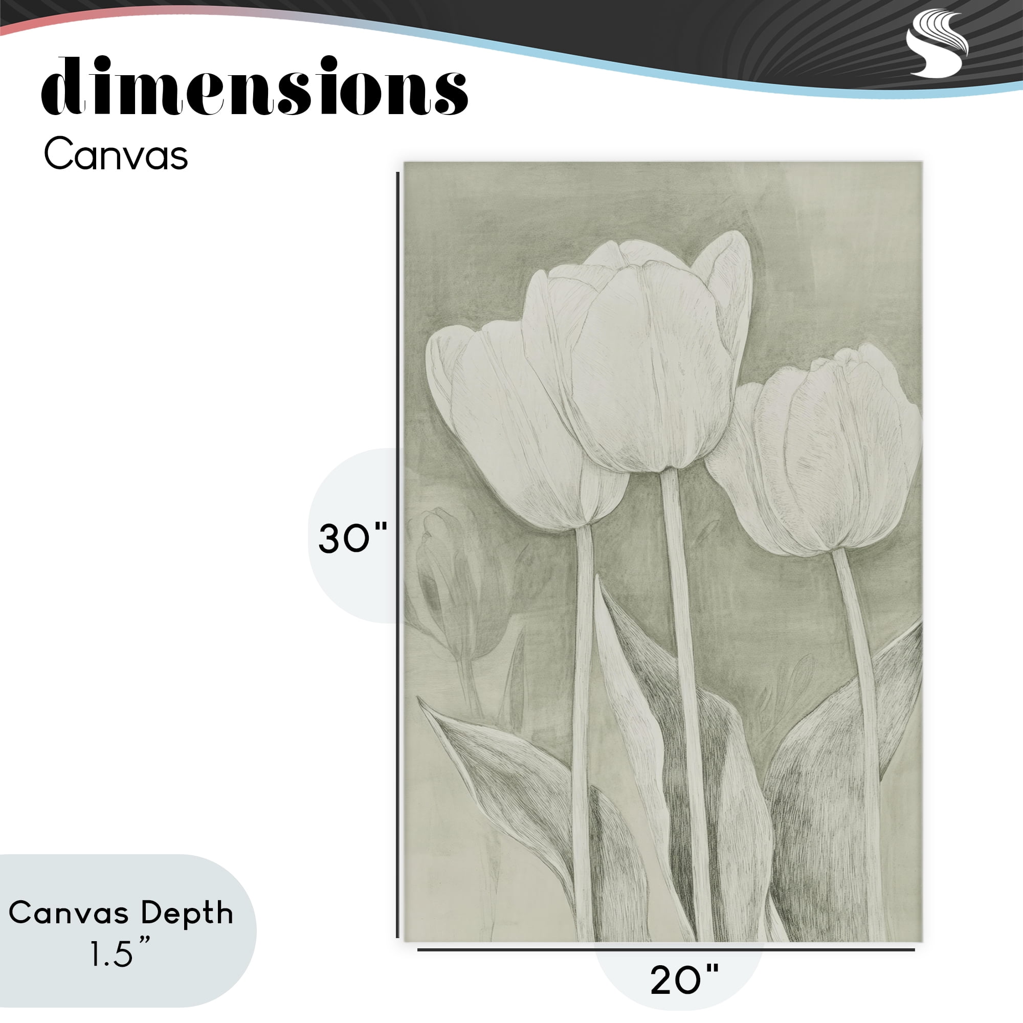 Stupell Industries Faded Tulips Pencil Sketch Canvas Wall Art, design by Petal Prints Design