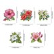 thumbnail image 3 of (BJ082) Imán para Refrigerador DIY 5 Uds. Flores (diamante + Diamante Forma Especial) Imán para Refrigerador DIY, 3 of 9
